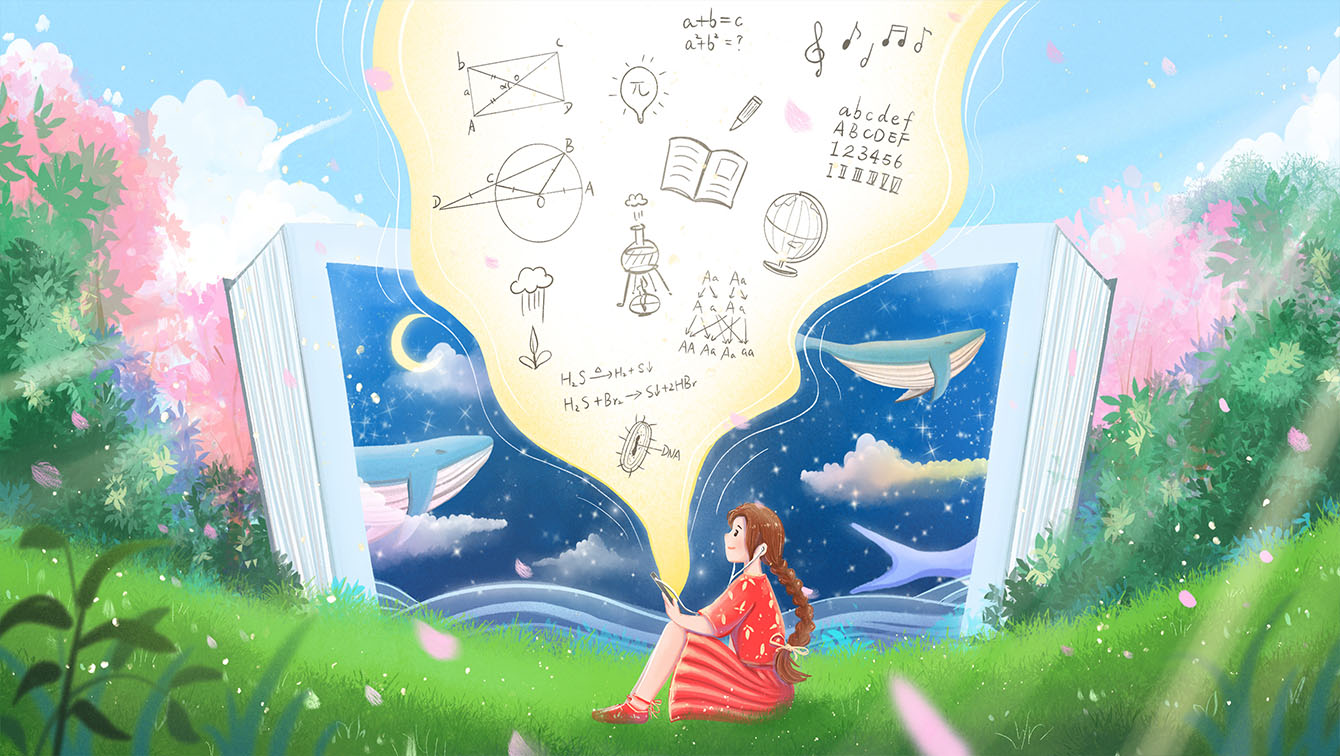 网络营销知识：实操必备指南